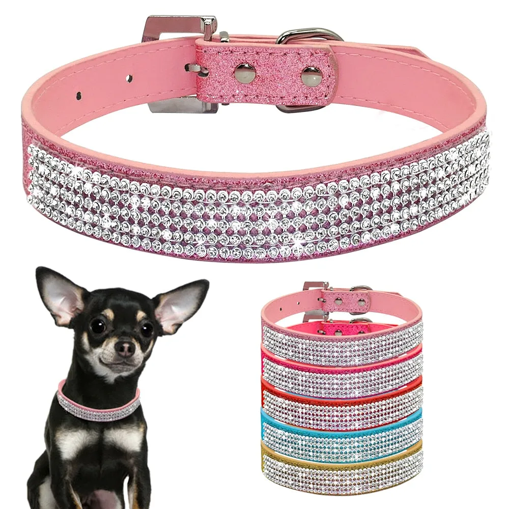 Coleira Diamond | Para Cachorro