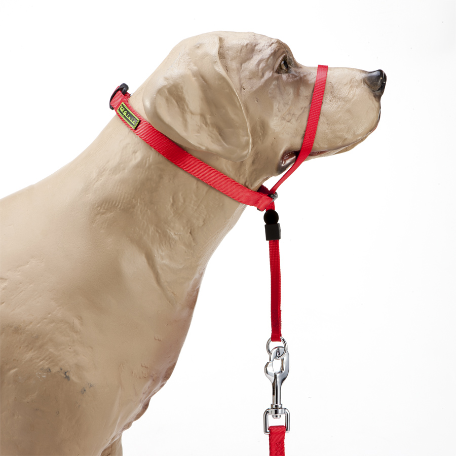 Coleira K9 Spirit Cabresto para Cães Vermelha