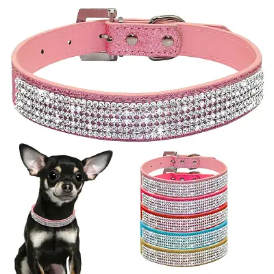 Coleira Diamond | Para Cachorro